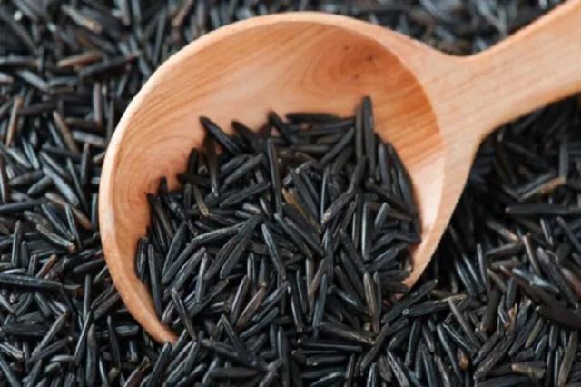 برنج سیاه چیست؟ | فواید و مضرات برنج سیاه برای سلامتی